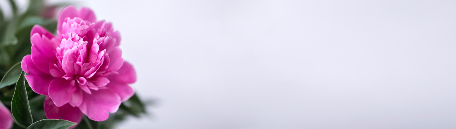 envío coronas urgente tanatorios de Madrid